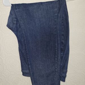 Lane Bryant skinny jeans